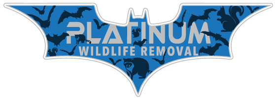 Certified Wildlife Control LLC